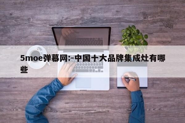5moe弹幕网:-中国十大品牌集成灶有哪些