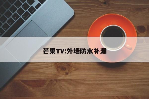 芒果TV:外墙防水补漏