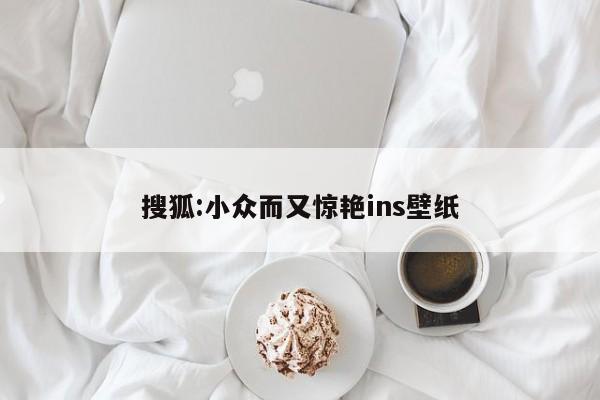 搜狐:小众而又惊艳ins壁纸