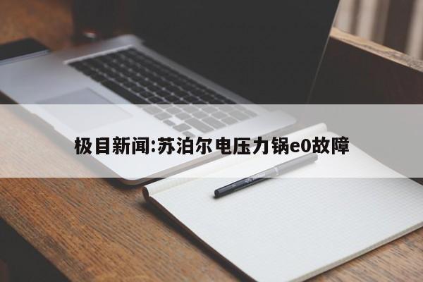 极目新闻:苏泊尔电压力锅e0故障