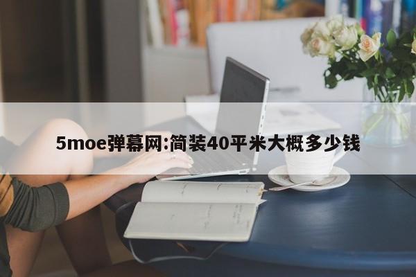 5moe弹幕网:简装40平米大概多少钱