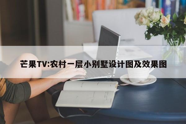 芒果TV:农村一层小别墅设计图及效果图