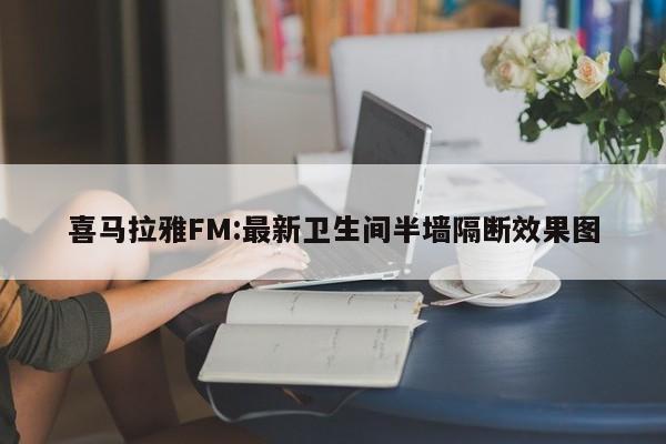 喜马拉雅FM:最新卫生间半墙隔断效果图