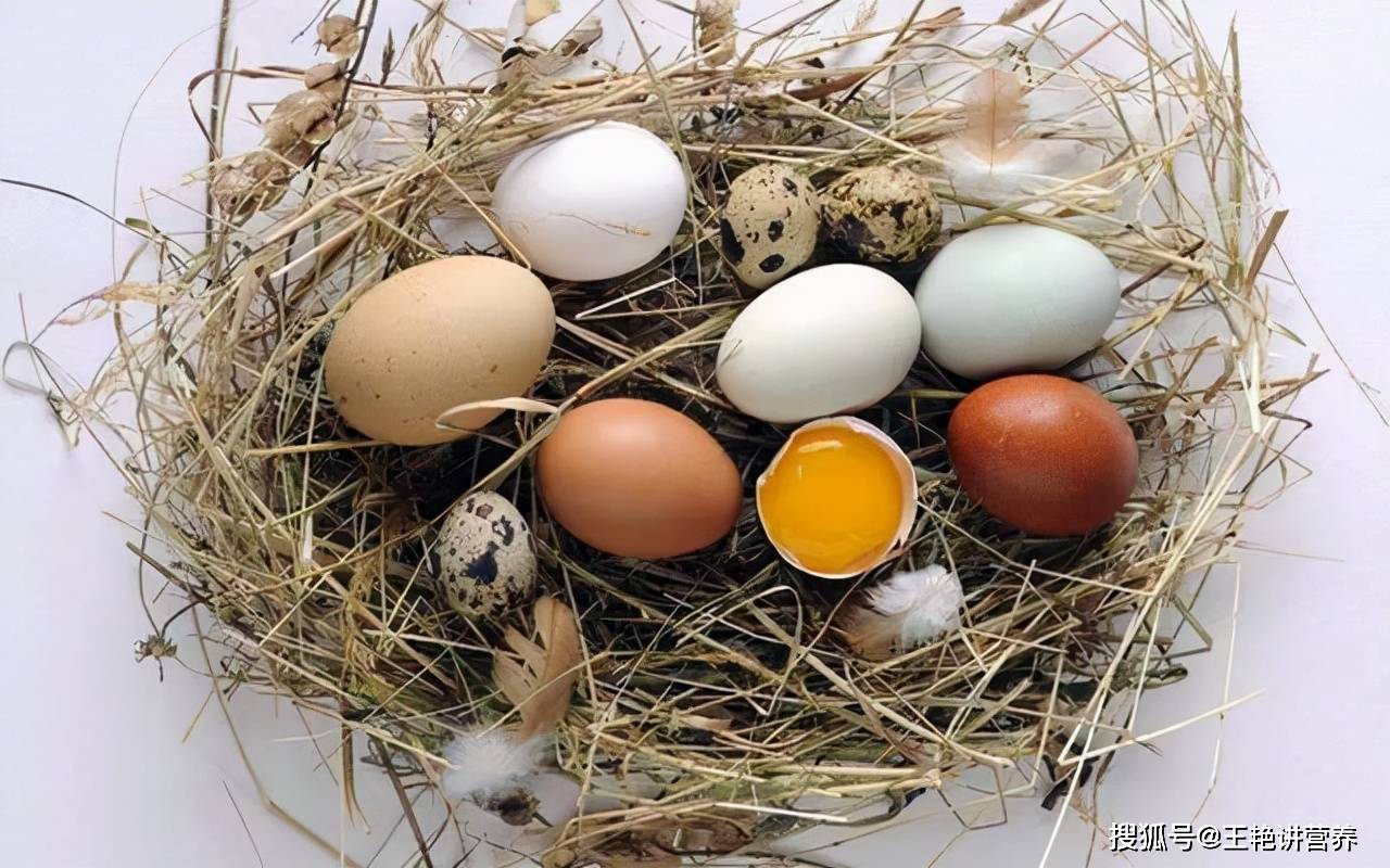 四大蛋类营养PK大揭秘！鸡蛋、鸭蛋、鹅蛋、鹌鹑蛋，谁是真正的“蛋中之王”？                