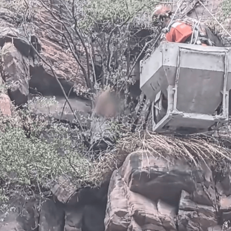 两名七旬老人徒手野攀被困90度垂直崖壁，消防人员用吊车展开救援                