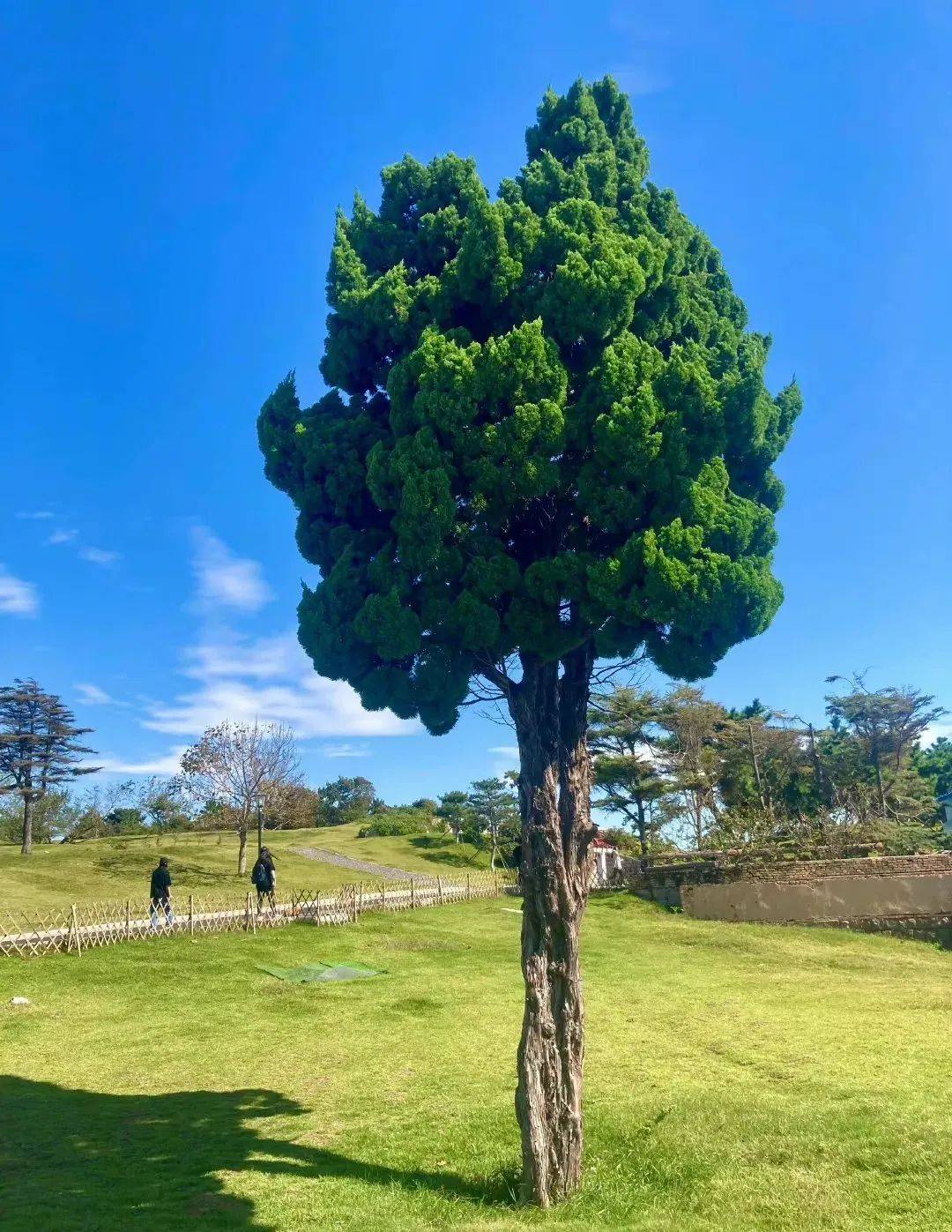 谁能拒绝夏天的大海？清凉又浪漫，还想再去N次~                