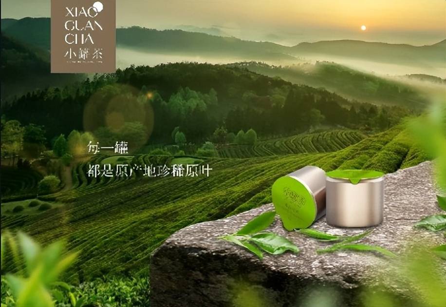 杜国楹的“茶梦”，小罐茶与全球茶文化的交融                