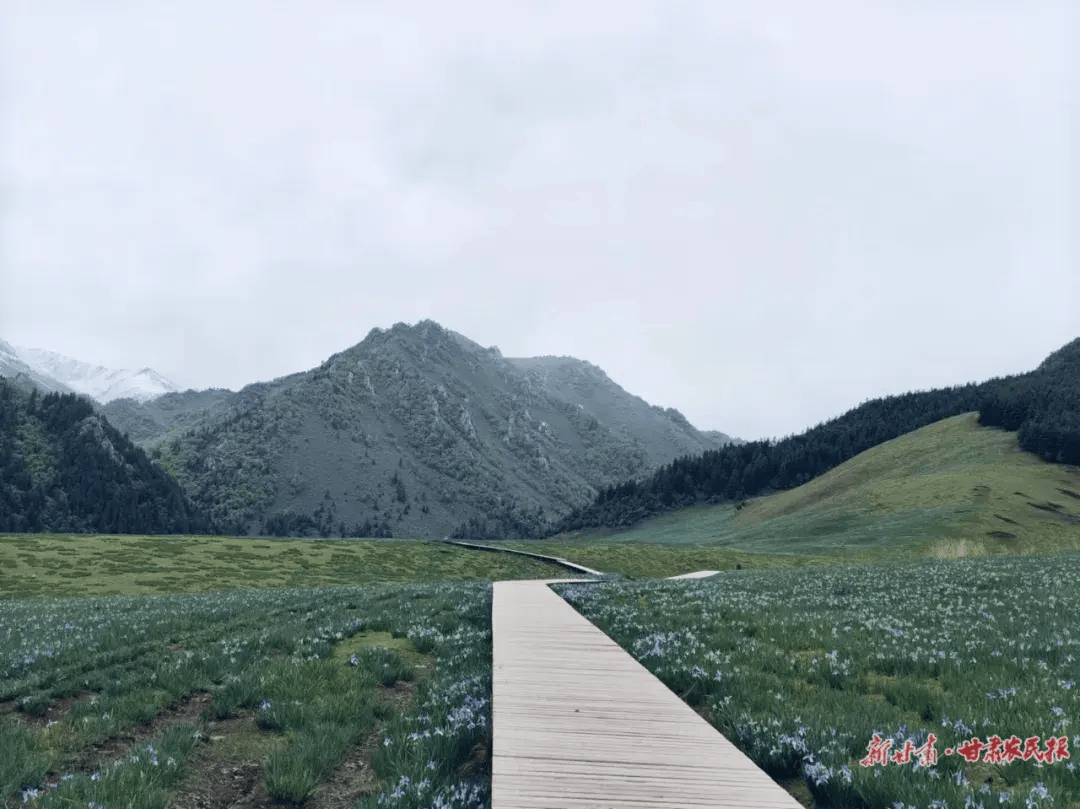 直抵山野处 共赴冰沟河                