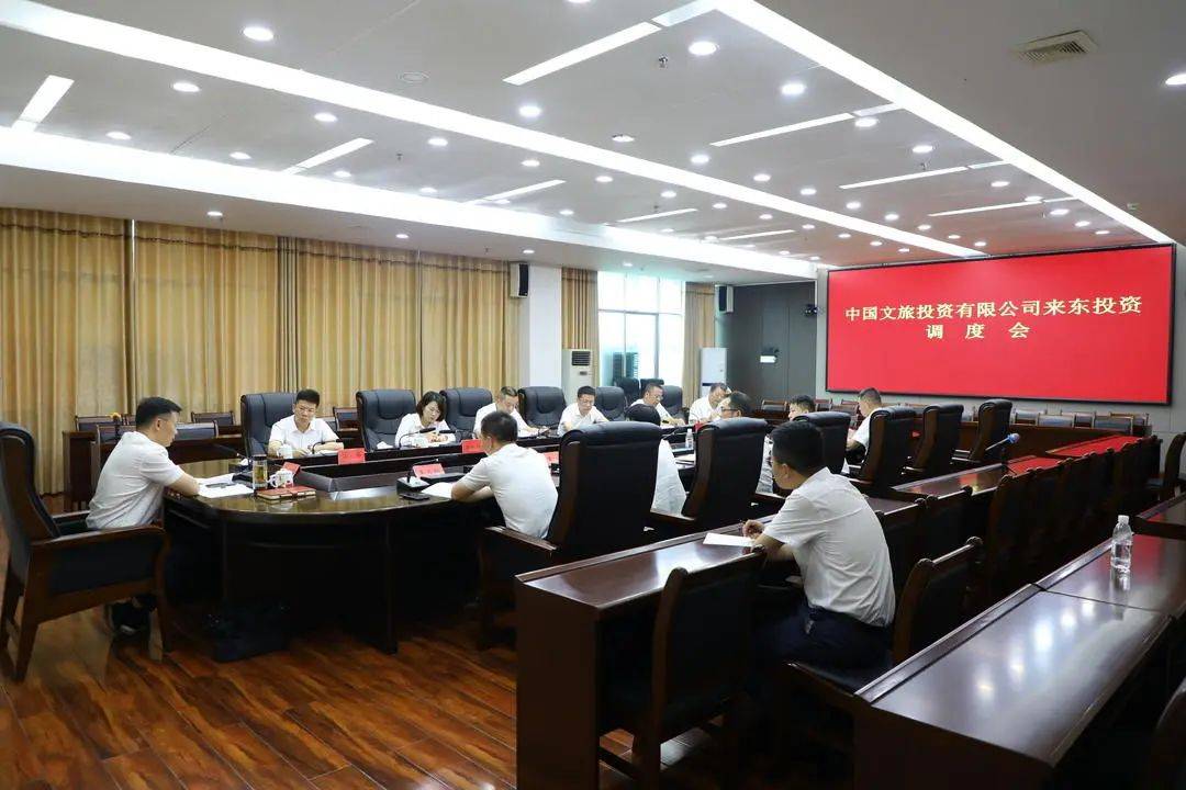 东安县召开中国文旅投资有限公司来东投资调度会  第1张
