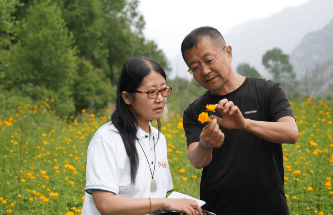 ✨【澳门天天彩免费资料大全免费查询】✨-《山西晚报》