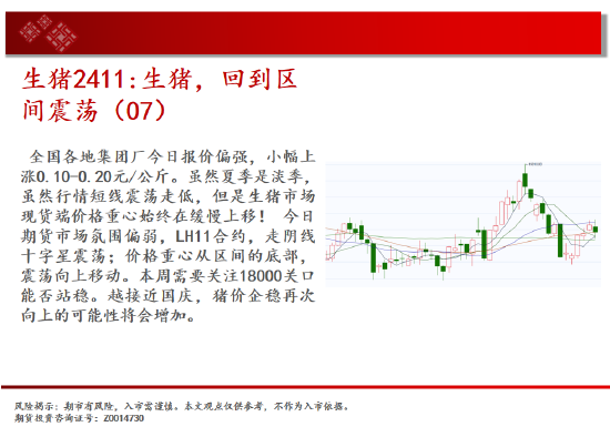 中天期货:玉米大阴回落 纯碱继续下跌  第8张