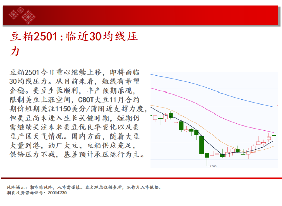 中天期货:玉米大阴回落 纯碱继续下跌  第12张