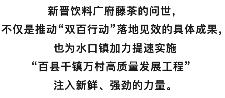 南雄人自己的“凉茶”上市！当年红军靠这碗茶解暑消炎                