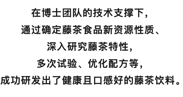 南雄人自己的“凉茶”上市！当年红军靠这碗茶解暑消炎                