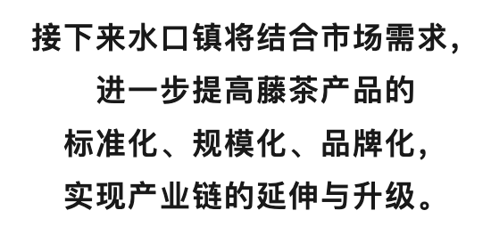 南雄人自己的“凉茶”上市！当年红军靠这碗茶解暑消炎                