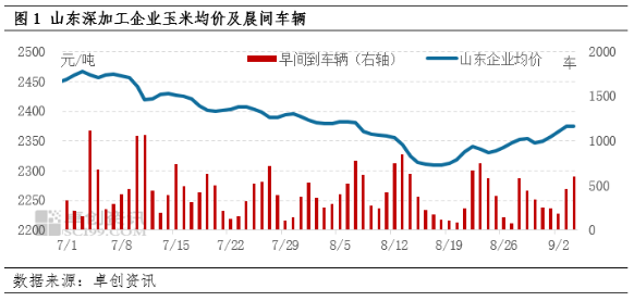 各地轮换粮拍卖增加市场供应 9月玉米价格上涨动力不足