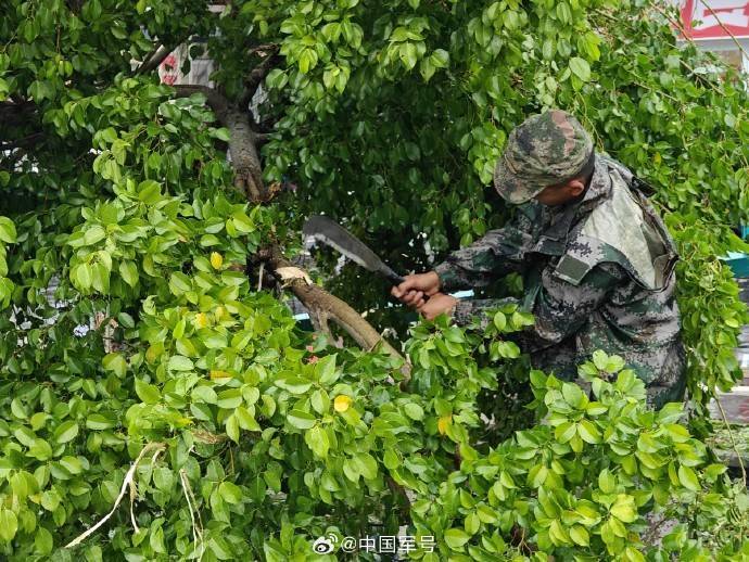 紧急驰援！子弟兵全力支援抗风抢险一线                