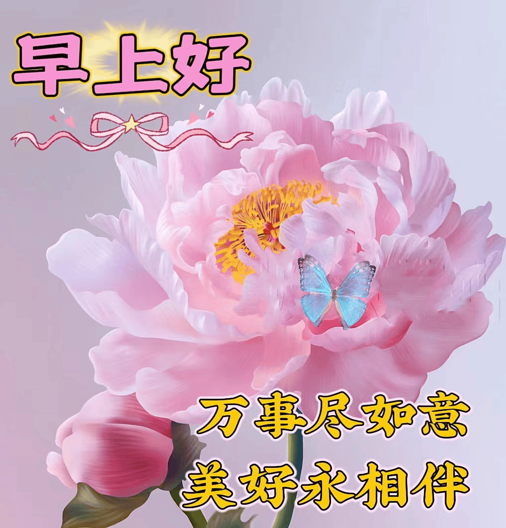 今日最新早上好问候语精选，祝福无声，问候永恒！                