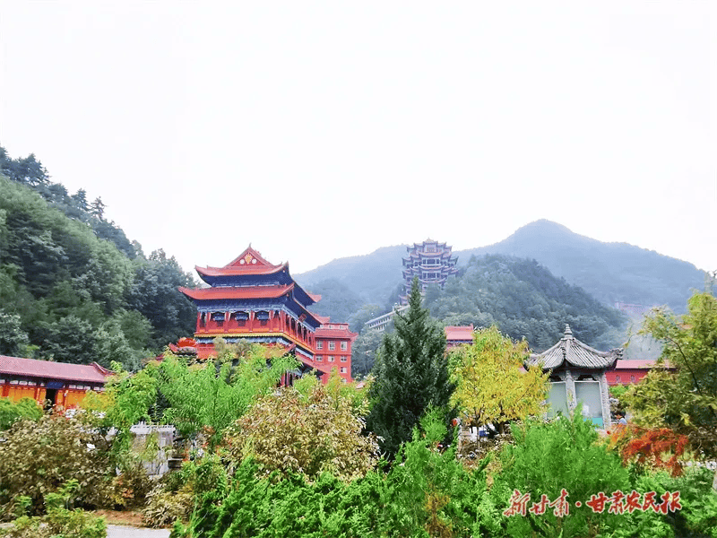 看完这篇《人间净土》，就买好了去天水的车票                