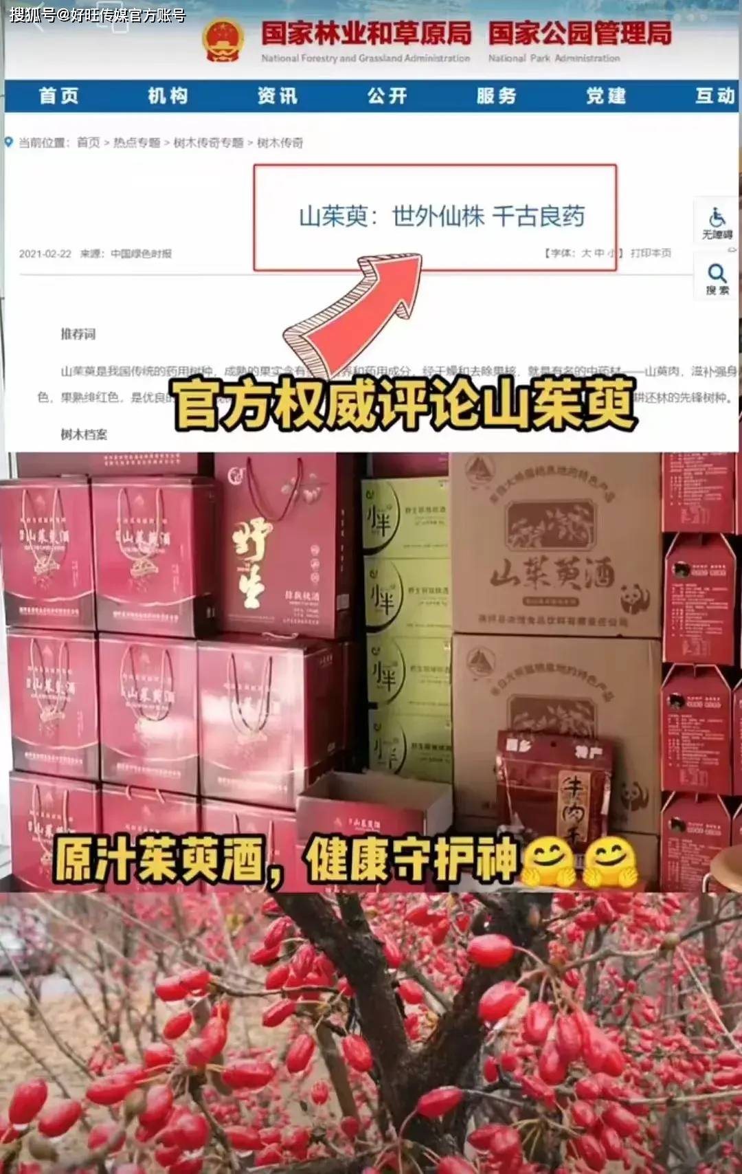 金秋十月，浓情山茱萸酒献礼国庆