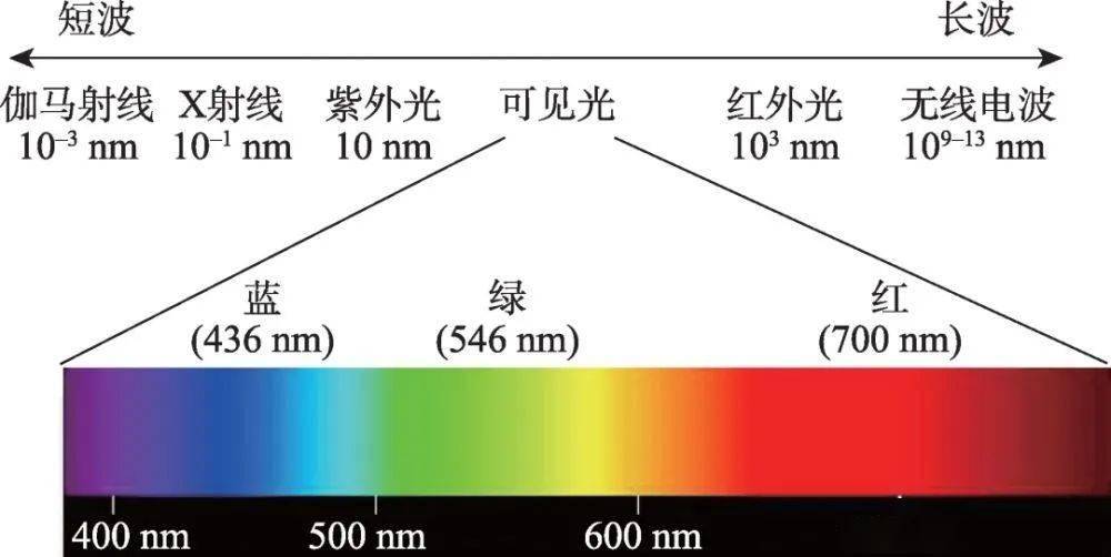 百元红魔虾，能在自助餐畅吃？                