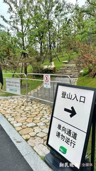 双子山开放首日，为何近千名游客风雨无阻赴约？市民：“想从高处看看上海的规划和变化！”                