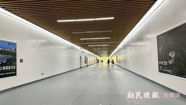 双子山开放首日，为何近千名游客风雨无阻赴约？市民：“想从高处看看上海的规划和变化！”                