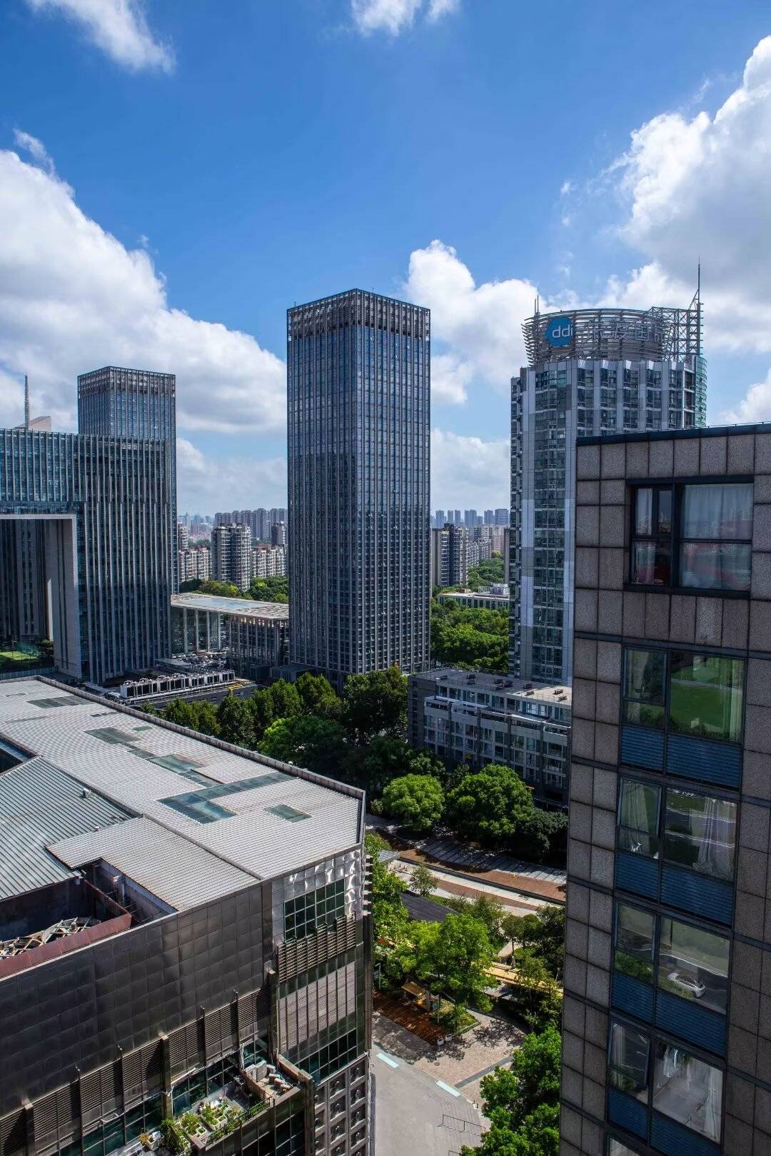 【每日一景】登高极目壮瑰景象                