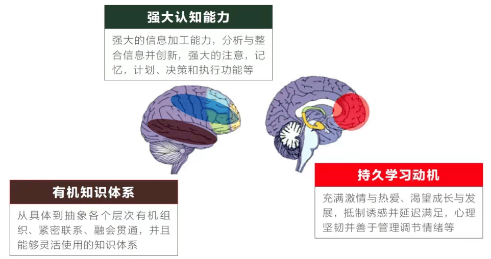 专访北师大脑科学教授薛贵：不提升孩子大脑的学习力，很容易陷入“低效鸡娃”                