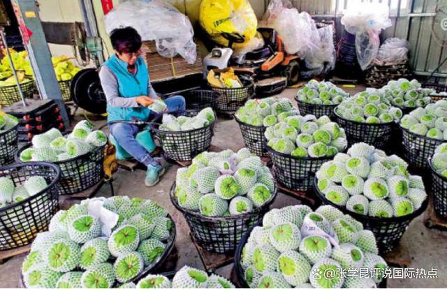 对美制裁后，大陆对岛内动手，台湾多年收到的优惠，大陆通通收回