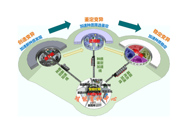 探源科技文化长河｜从躬耕农桑到智能育种，一“种”力量不断生长                