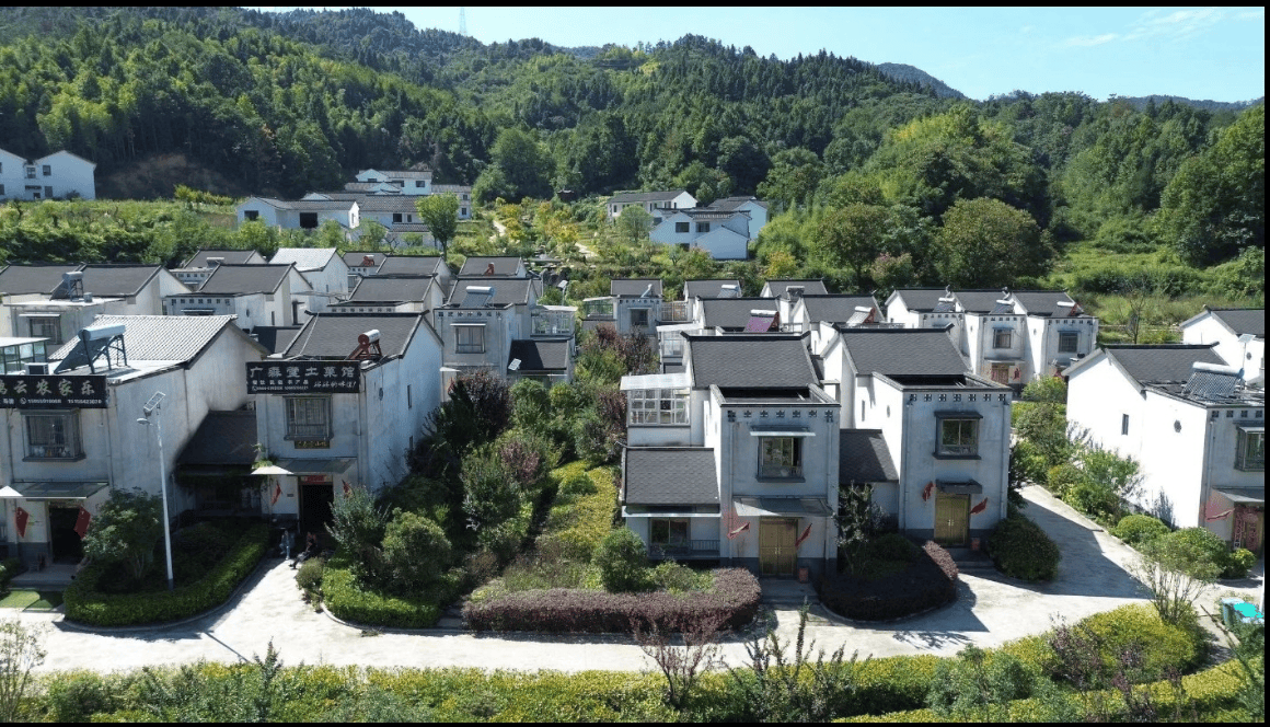 大别山腹地的安徽金寨县大湾村：“红绿结合”绘就乡村振兴新画卷                