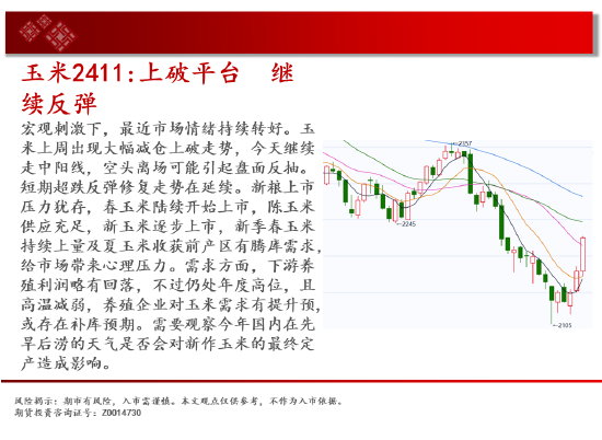 中天期货:玻璃涨停涨停 棕榈略有减速