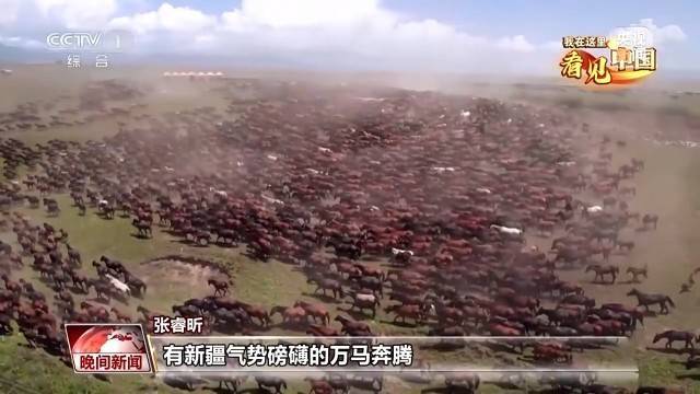 我在这里看见中国丨走遍名山大川 他用镜头记录这片土地的美                