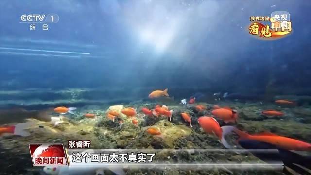 我在这里看见中国丨走遍名山大川 他用镜头记录这片土地的美                