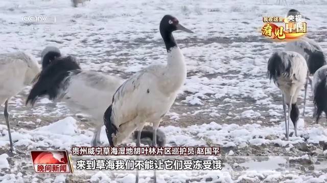 我在这里看见中国丨走遍名山大川 他用镜头记录这片土地的美                