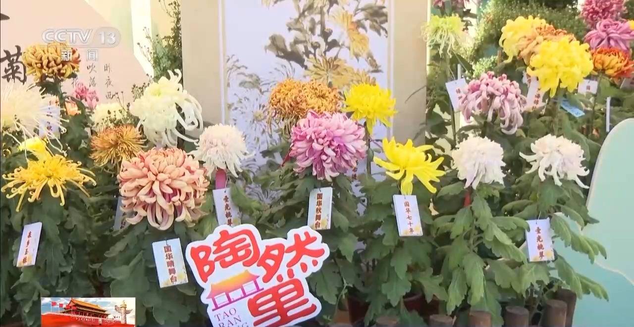 国庆假期各地“花式”迎客 这些宝藏打卡地藏不住了                