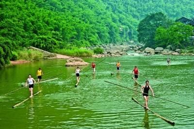 贵州赤水：无边竹海碧波涌                