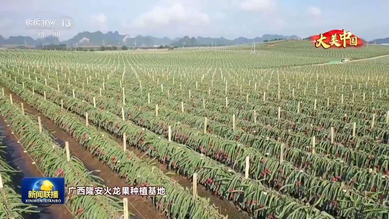 文化中国行丨岁物丰成 一览神州大地的丰收好图景                