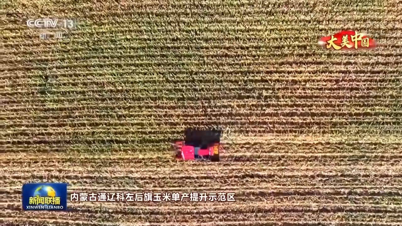 文化中国行丨岁物丰成 一览神州大地的丰收好图景                