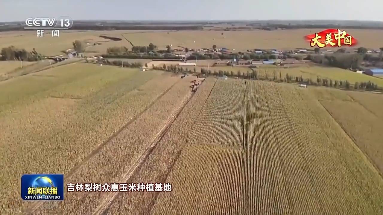 文化中国行丨岁物丰成 一览神州大地的丰收好图景                