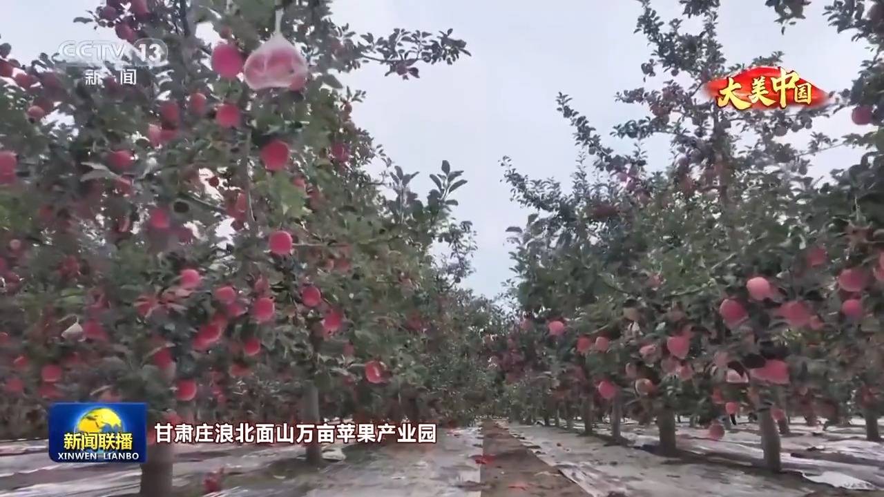 文化中国行丨岁物丰成 一览神州大地的丰收好图景                