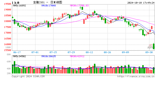 每日猪讯10.10