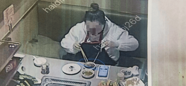 女子拿死虫子先后6次敲诈海底捞获刑，自曝动机：该店服务好，应该会赔偿                