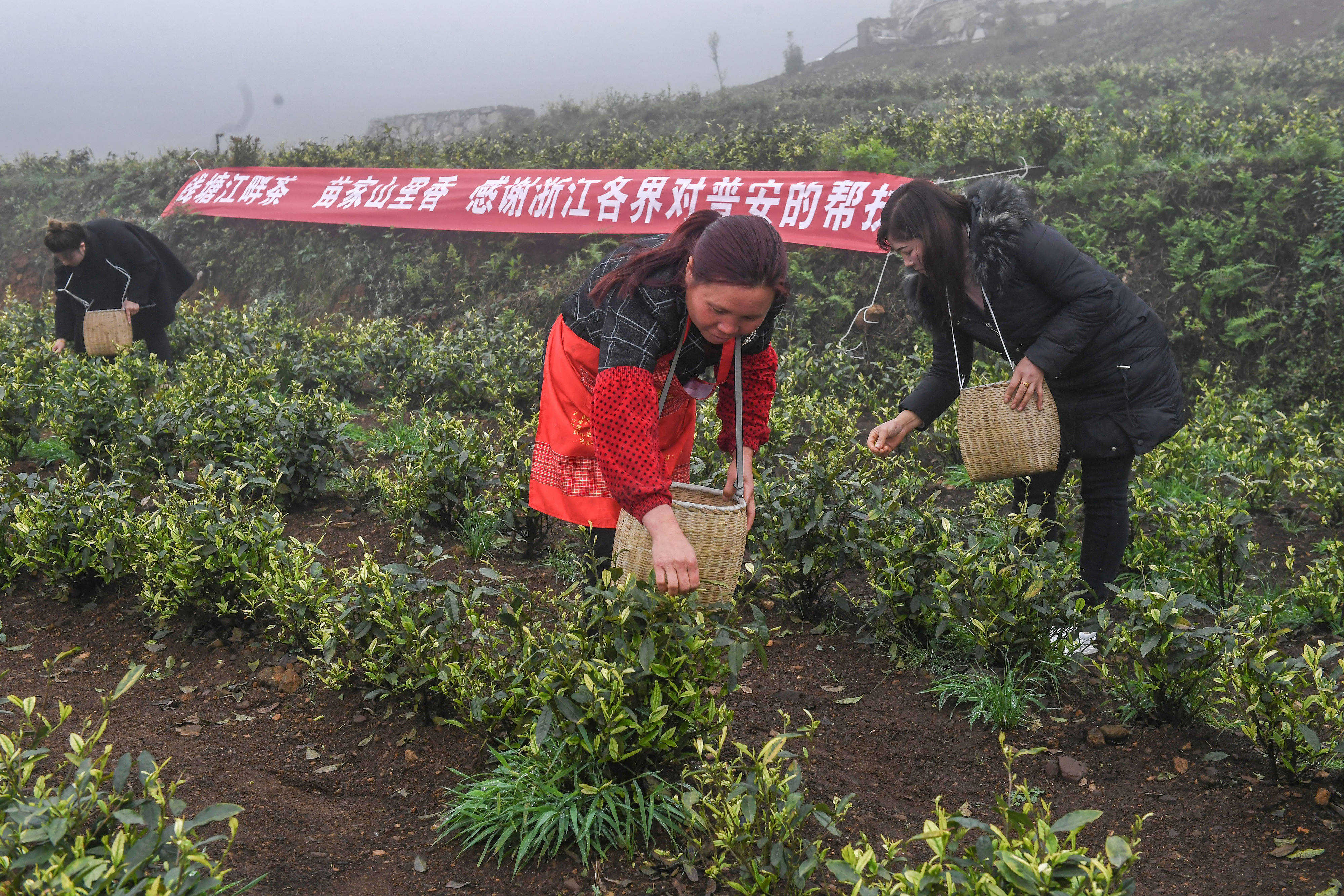 联播+｜山海协作，一场山与海的“双向奔赴”                