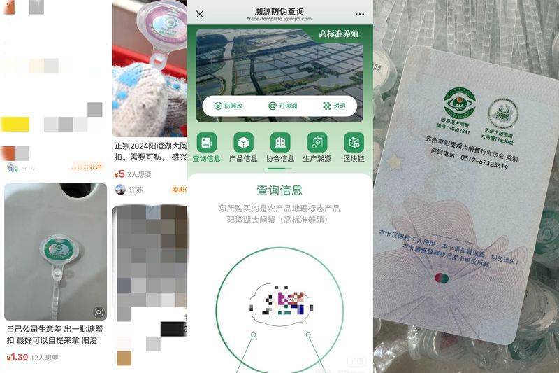 套上秒变阳澄湖等“名牌蟹”？起底大闸蟹“假蟹扣”制售链                