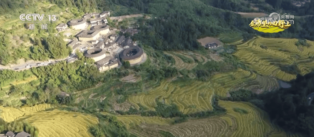 “智”绘“丰”景 穰穰满家 科技赋能为希望的田野绘就稻香金秋                