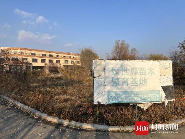 哈尔滨“警虎”于涛涉黑团伙覆灭：商业版图涉30余家公司，二号人物在逃｜封面头条                