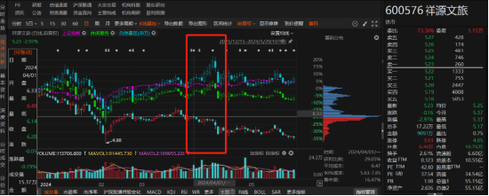 祥源文旅非经营性资金占用虽已归还，但仍被出具警示函！