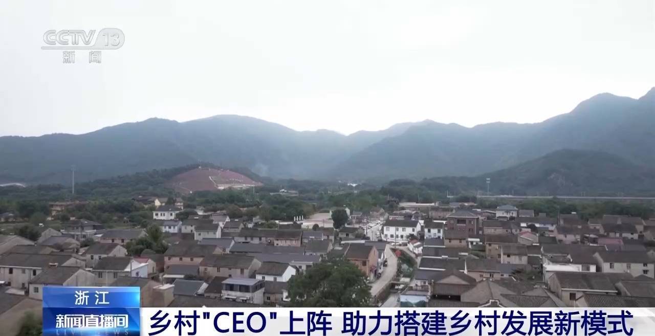 “CEO”竞争上岗 浙江这些乡村成为“流量担当”                